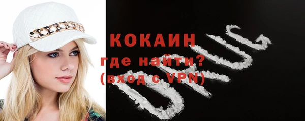 дмт Нягань