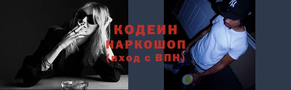 скорость Няндома