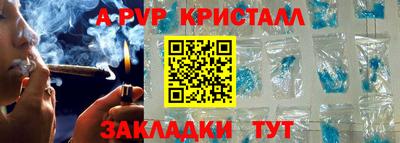 прущие грибы Гусиноозёрск