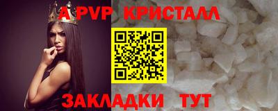 прущие грибы Гусиноозёрск