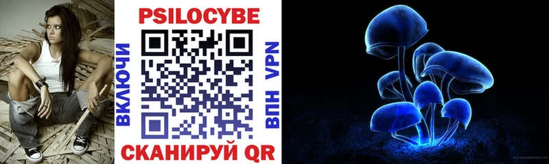 Псилоцибиновые грибы Magic Shrooms  что такое   Стрежевой 